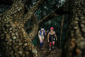 BIB: 
                            <button type="button" onclick="openModal(25697501)" class="btn btn-primary btn-sm float-right btn-popup" data-toggle="modal" data-target=".modal-high-quality">
                        <i class="fas fa-shopping-cart"></i> Add to Cart
                    </button>
                                            <button type="button" onclick="isThisMe(25697501, true)" class="btn btn-success btn-sm float-right btn-popup btn-isme hidden" data-toggle="tooltip" data-placement="bottom" title="นี่คือรูปของคุณใช่ไหม คลิกที่นี่เพื่อเอาเข้าอัลบั้ม">
                        <i class="fas fa-plus"></i> Add to album
                    </button>
                    <button type="button" onclick="isThisMe(25697501, false)" class="btn btn-warning btn-sm float-right btn-popup btn-isnotme hidden">
                        <i class="fas fa-ban"></i> Remove from album
                    </button>